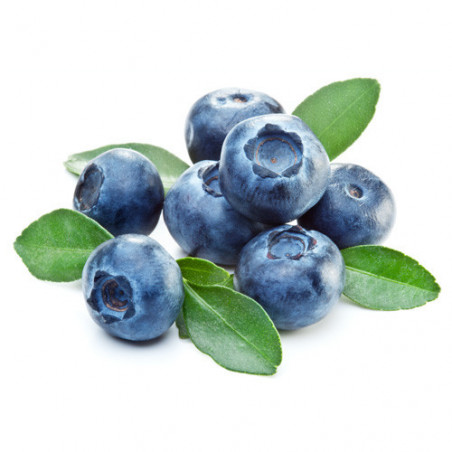 Berg’s Chewable Vitamin C Complex